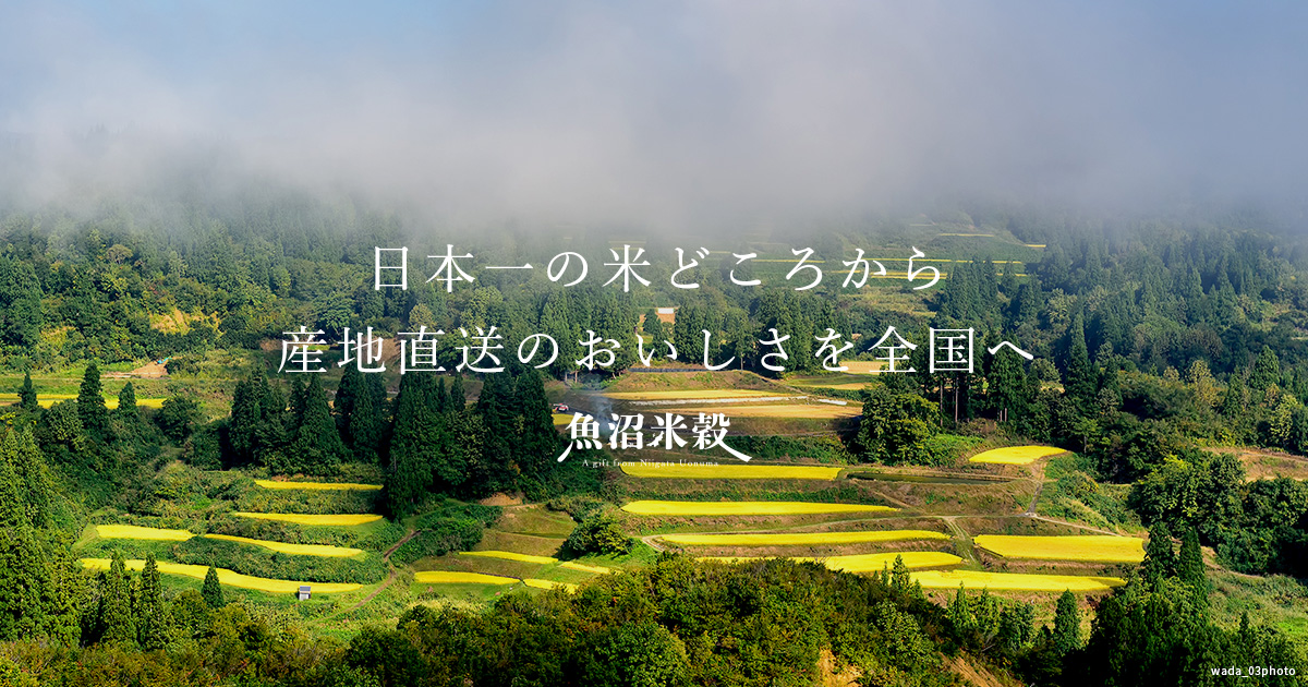魚沼米穀｜魚沼産コシヒカリを安心の産地直送でお届け！